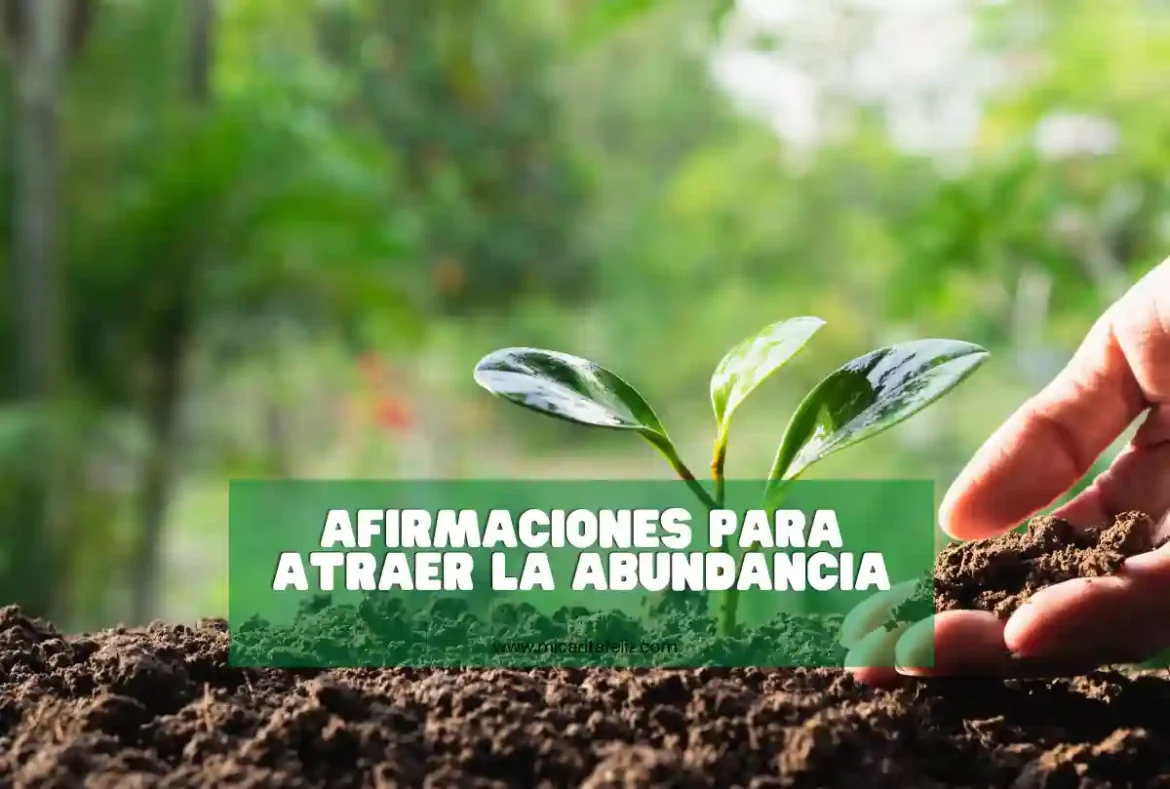 Afirmaciones para atraer la abundancia