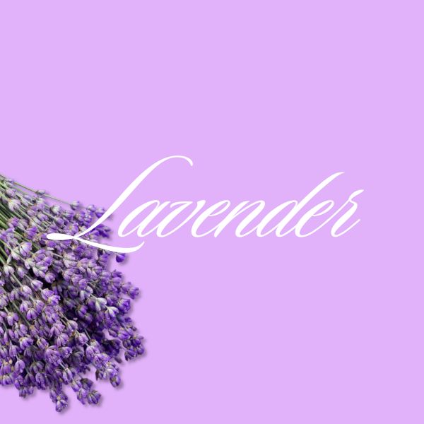 Lavender Inspired-color names for girls